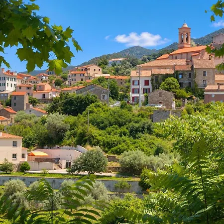 Casa Di Babbo * Calcatoggio (Corsica)